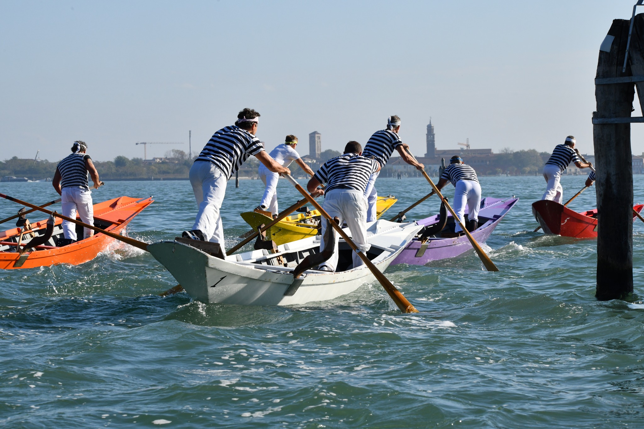 Cinque imbarcazioni con due vogatori impegnate in una regata, viste da dietro; sullo sfondo Venezia