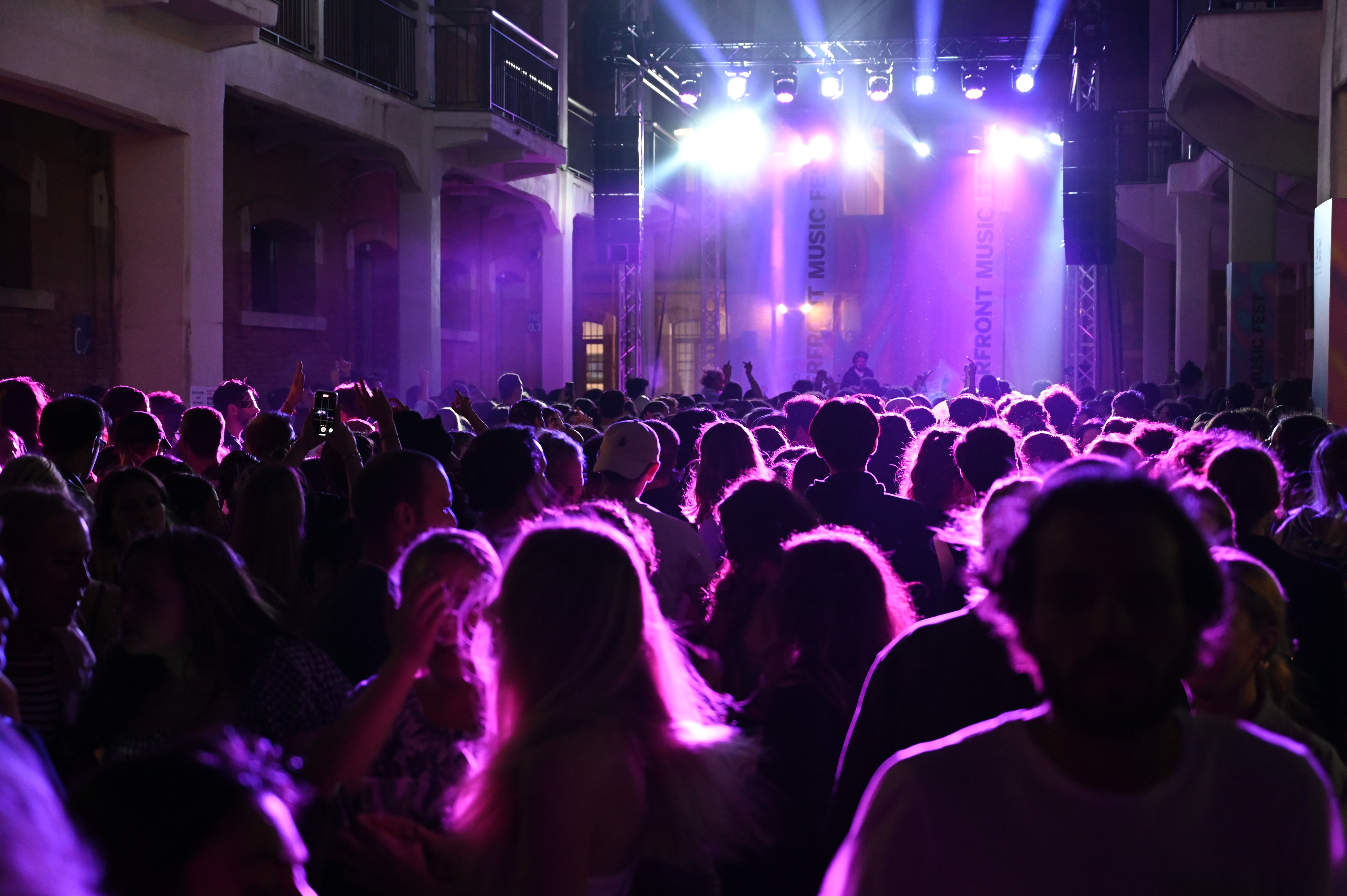 In primo piano, di spalle, folto pubblico che assiste a un concerto rock che avviene sul palco che si intravede sullo sfondo