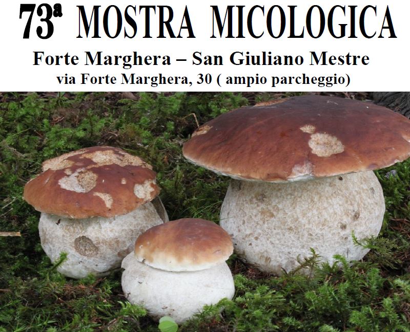 Composizione grafica: in alto, il titolo dell'evento; in basso, una foto di tre funghi porcini