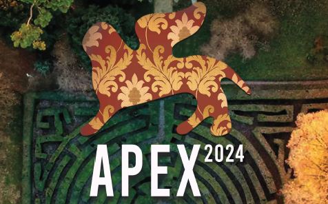 Grafica: in alto silohouette del leone di San Marco; in basso scritta "APEX 2024"
