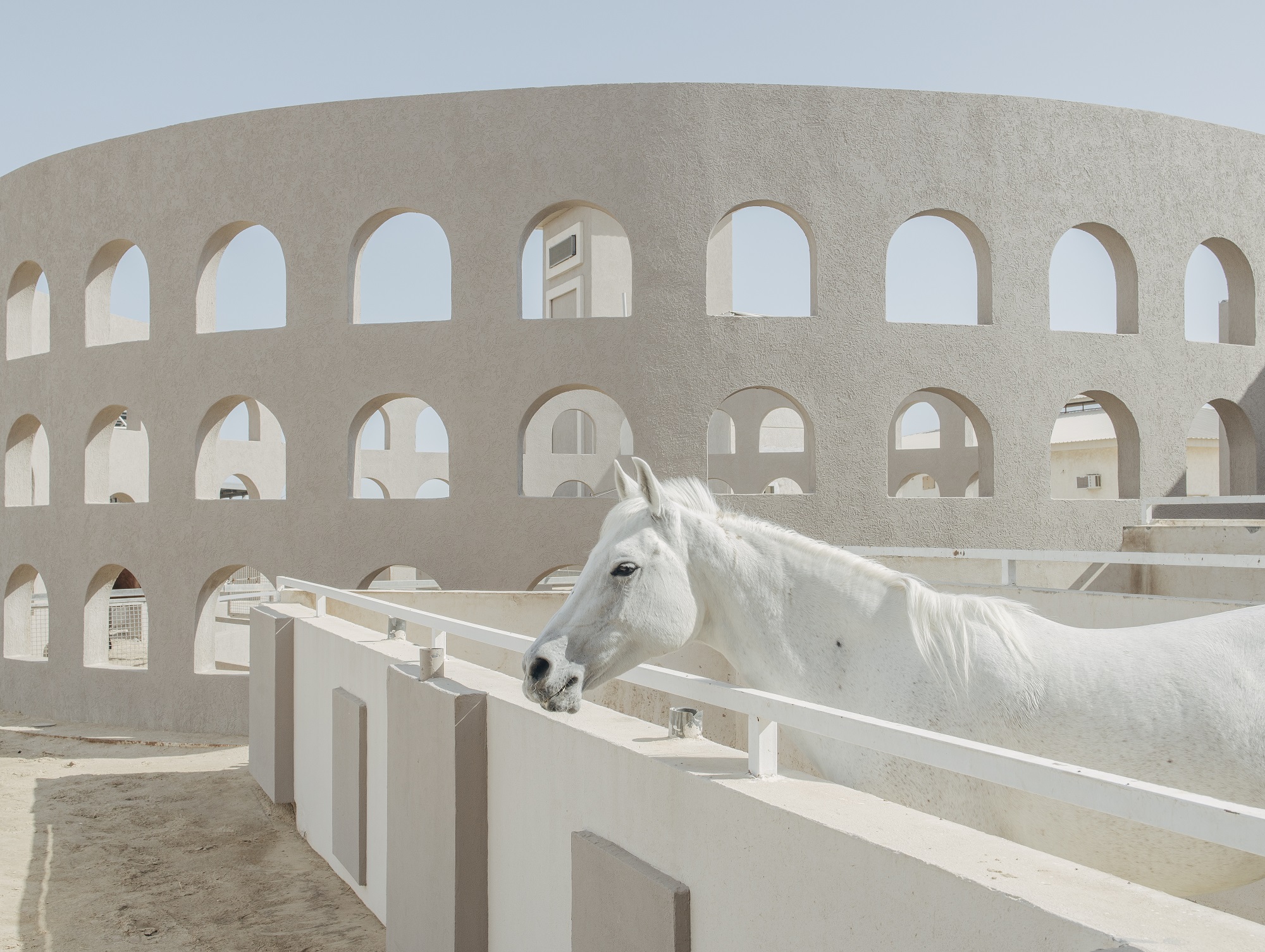 Cavallo in primo piano; sullo sfondo edificio che ricorda il Colosseo, ma in chiave moderna, con linee razionali