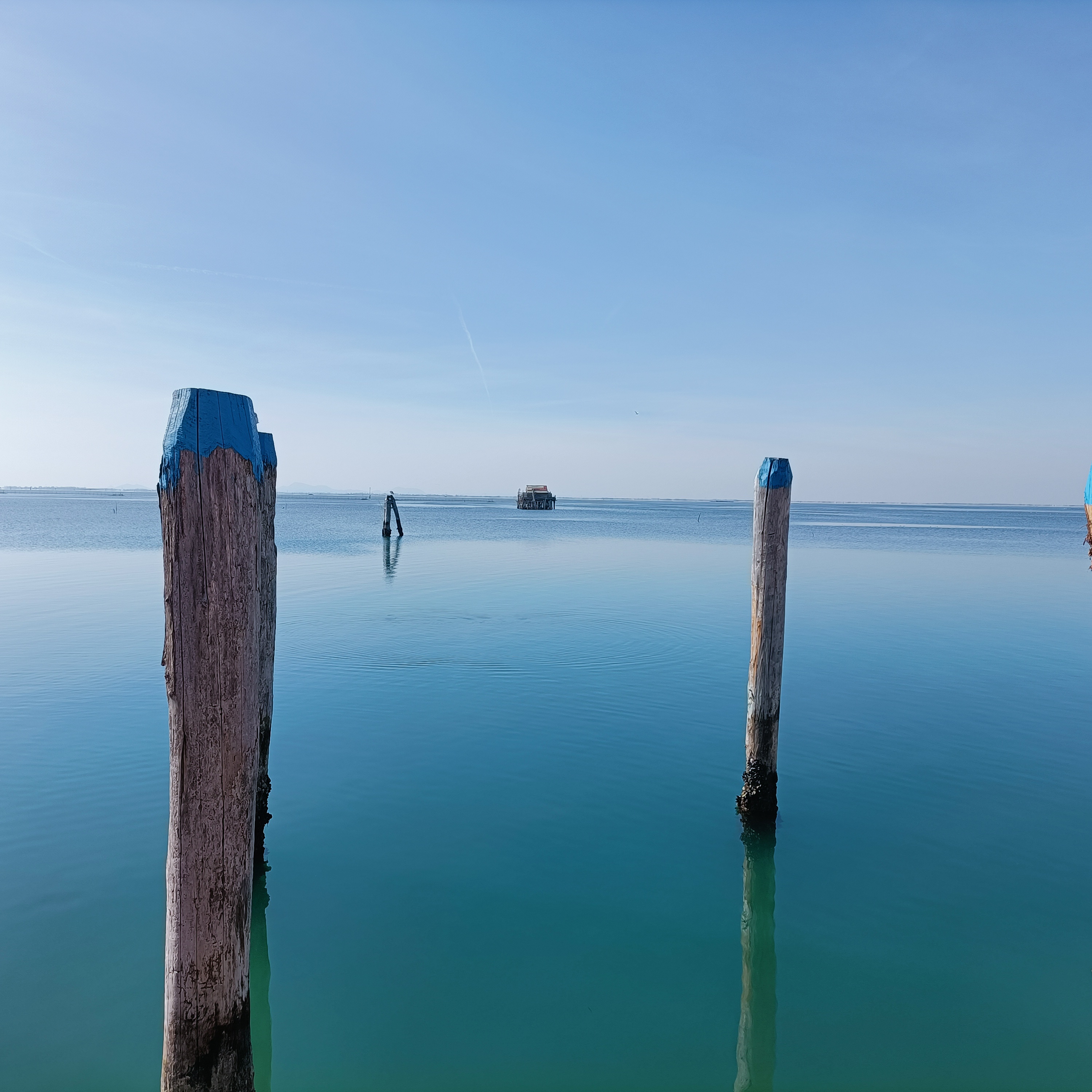 Briccole, una in prima piano, che emergono dall'acqua della laguna