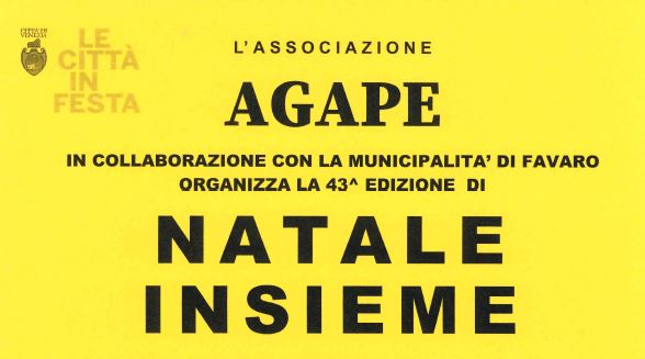 Grafica con scritta "Natale Insieme"