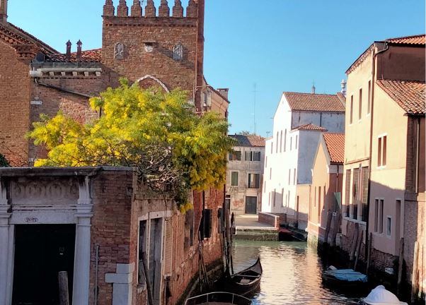 Un canale di Venezia con abitazioni sulle sue sponde. Dal cortile di una di esse spunta un albero rigoglioso