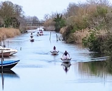 Regata di imbarcazioni condotte alla valesana che si sfidano su un canale della laguna veneziana