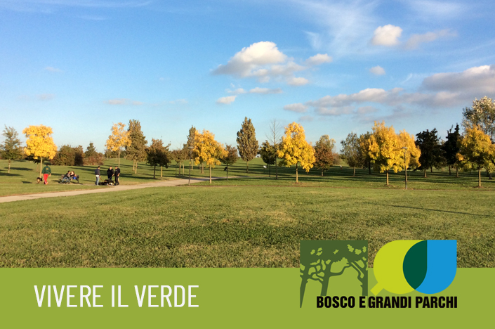 Foto di persone adulte e ragazzi che giocano nel parco 